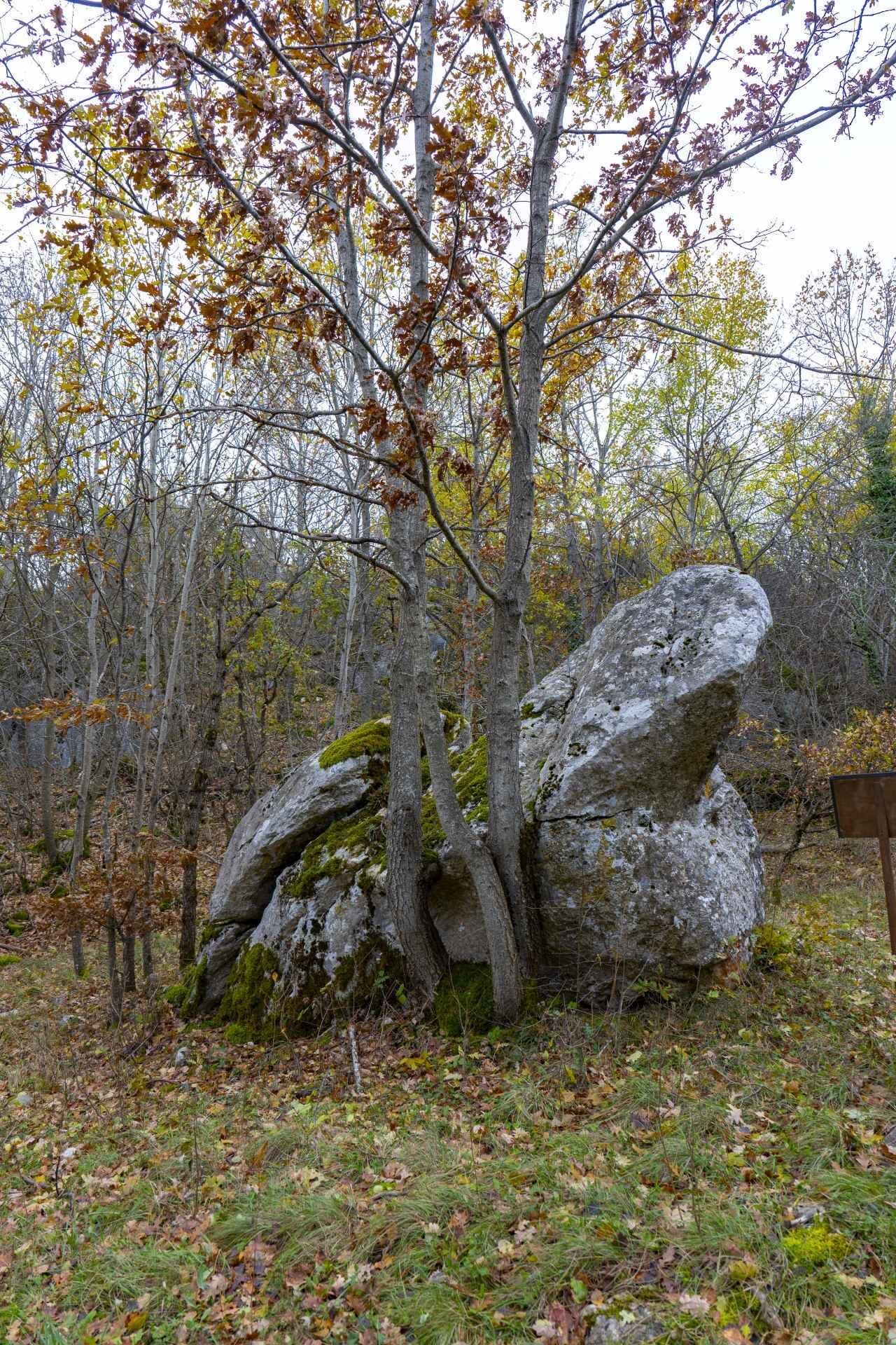 P1095504 1 1