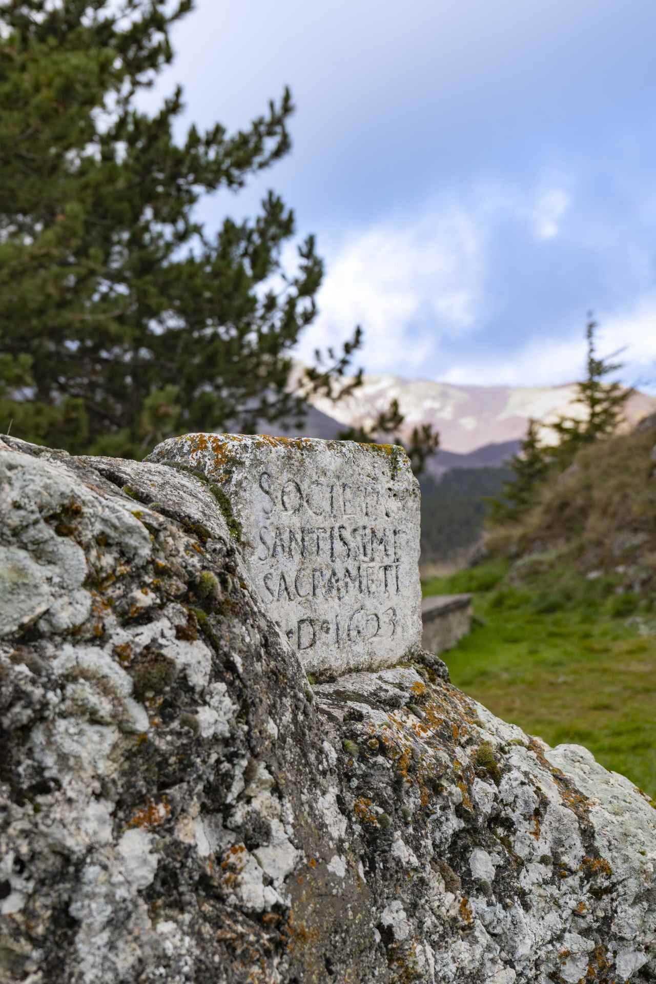 P1084447 1 1