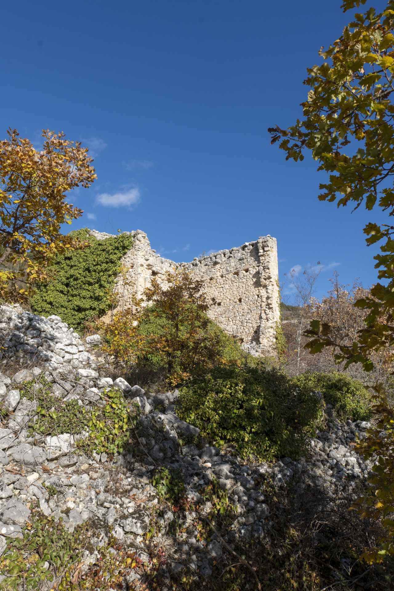 P1096055 1