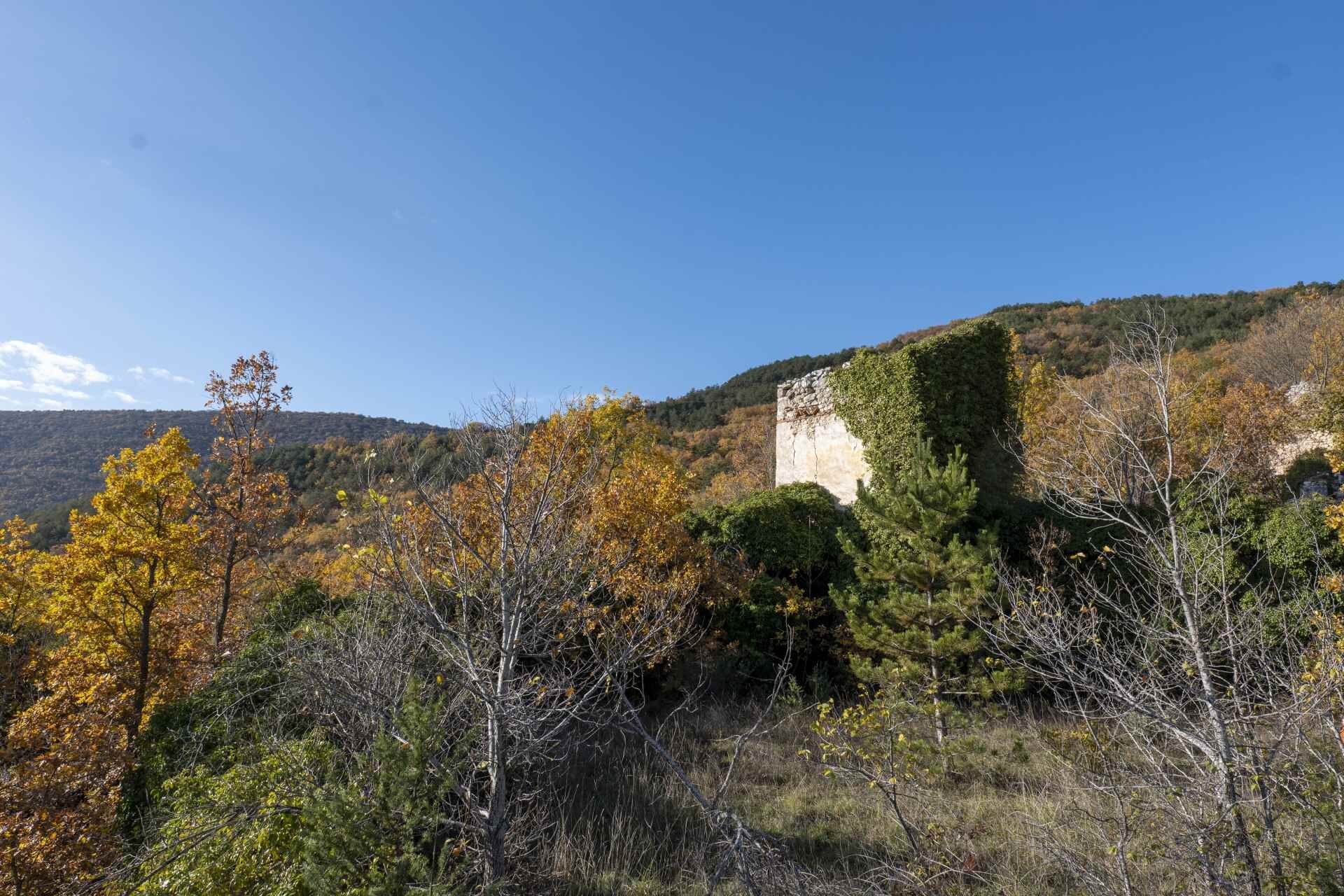 P1096059 1