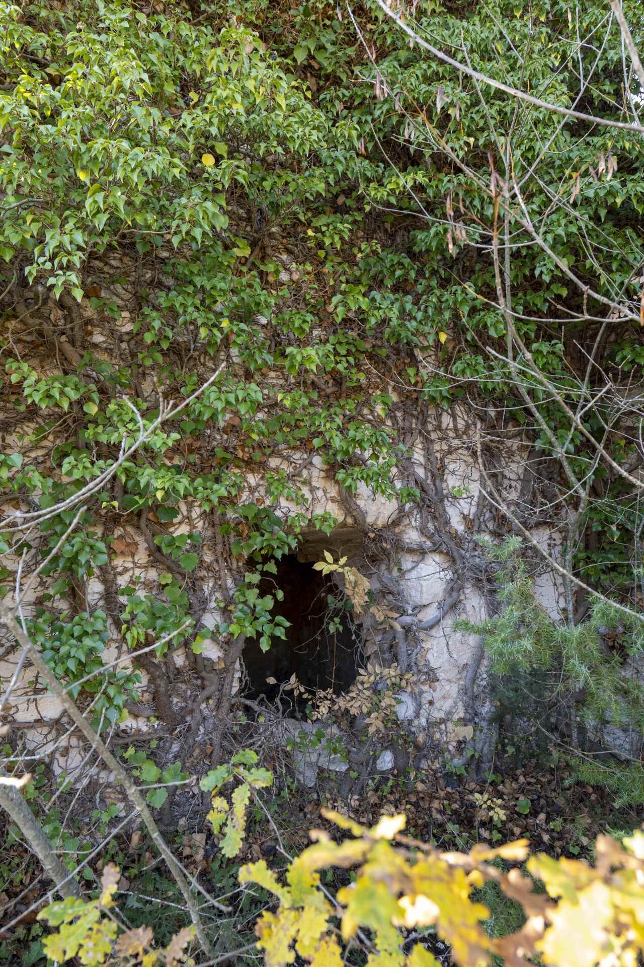 P1096060 1