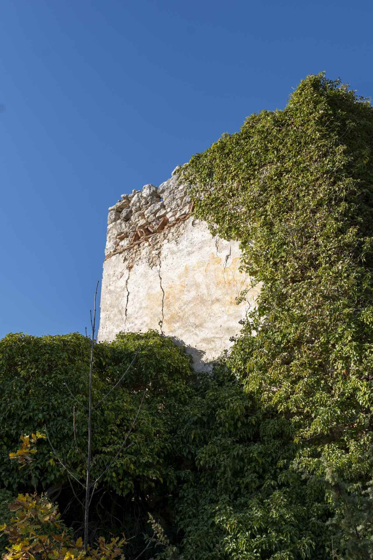 P1096061 1