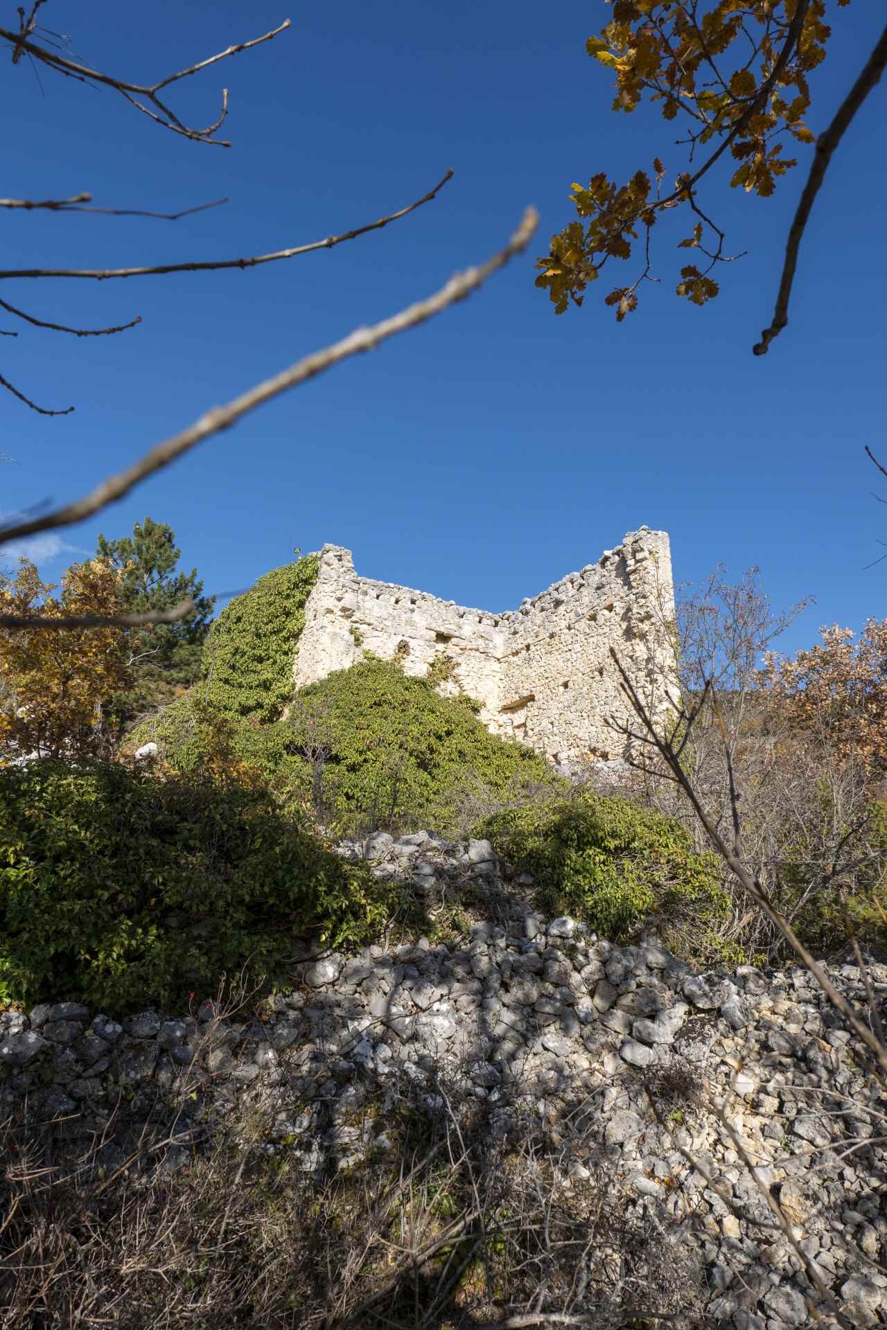 P1096063 1
