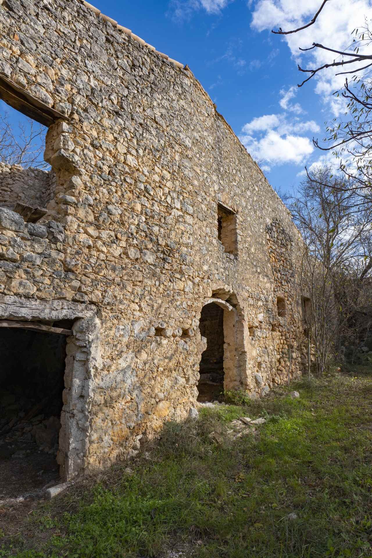 P1096312 1