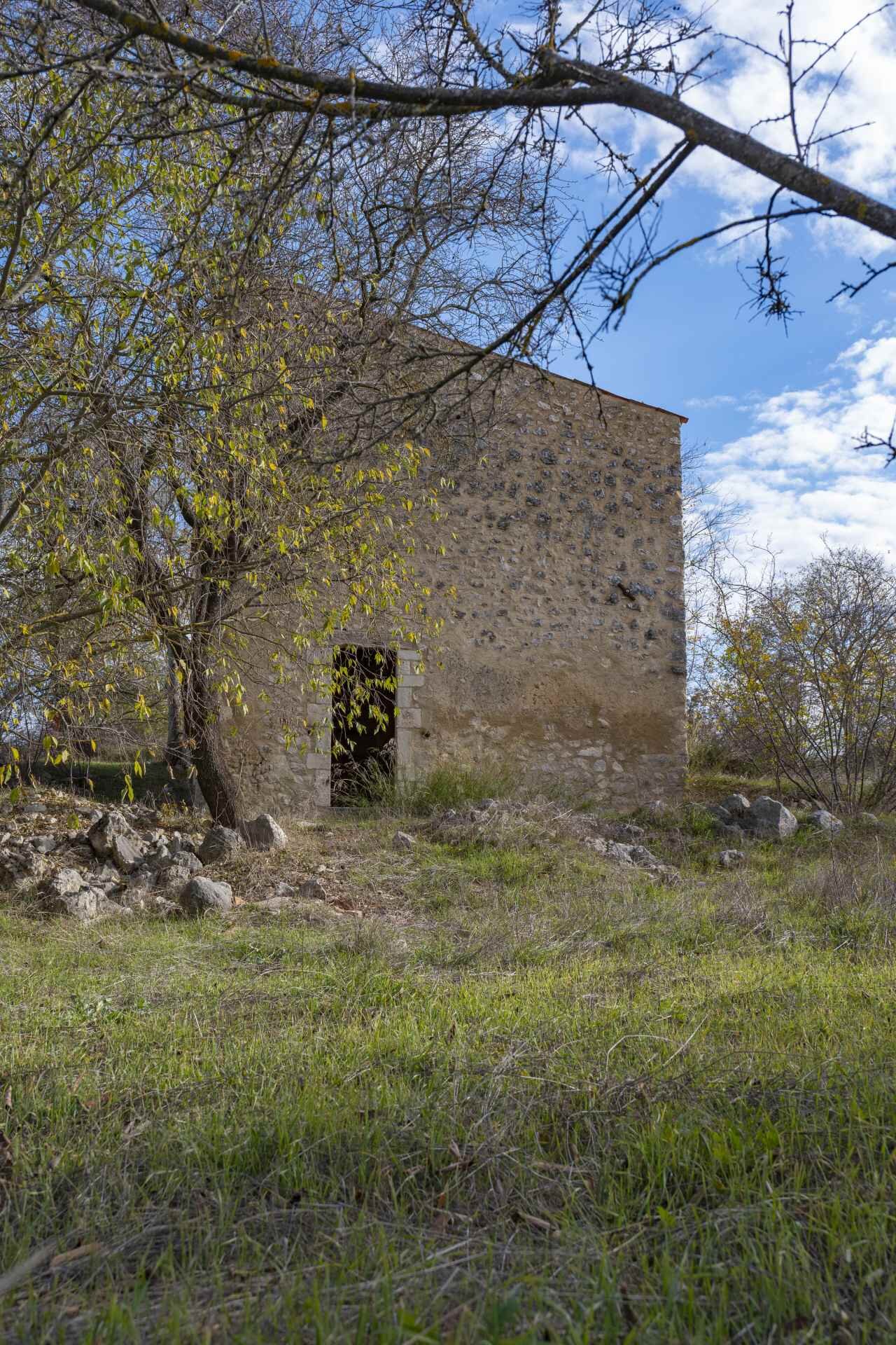 P1096324 1