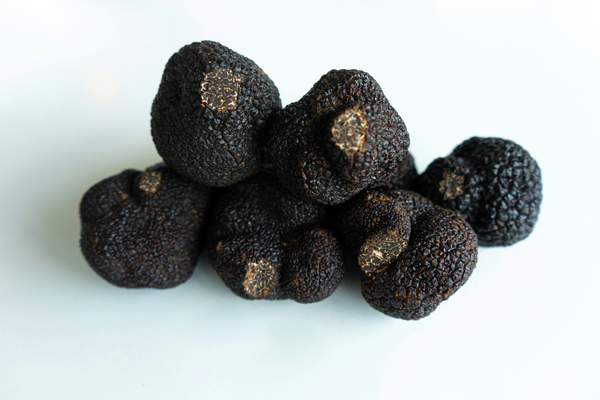 Sagra del Tartufo