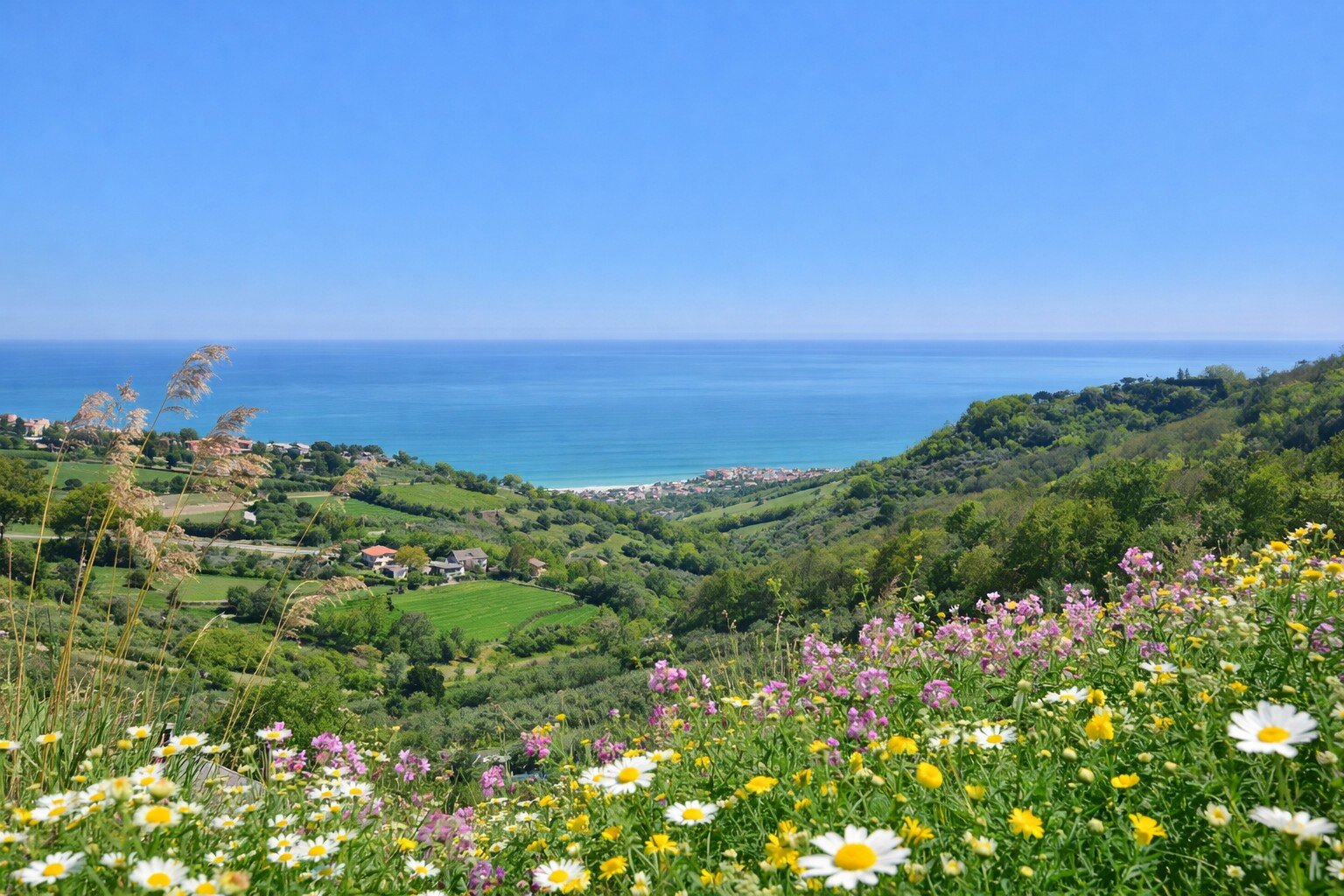 Vista dalla collina del mare Adriatico | © Generato da IA