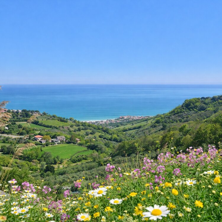 Vista dalla collina del mare Adriatico | © Generato da IA