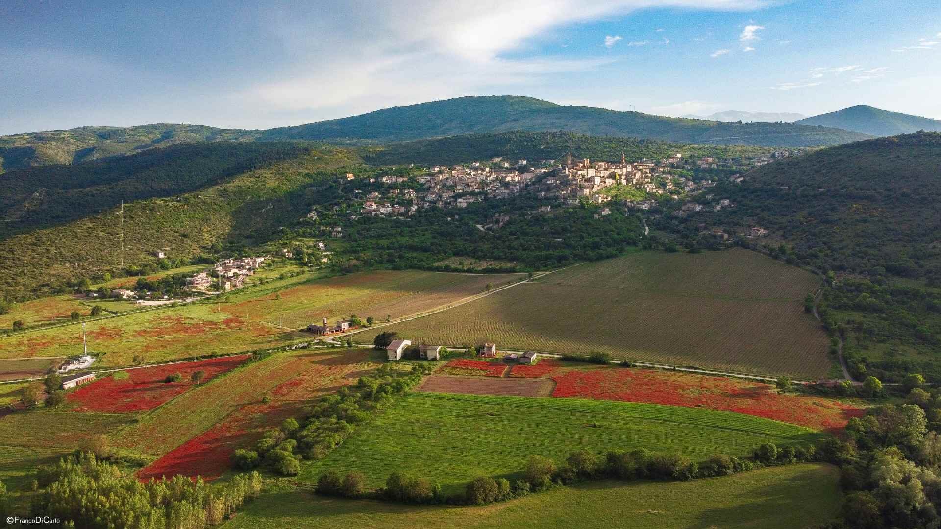 Dji 0378 Copia