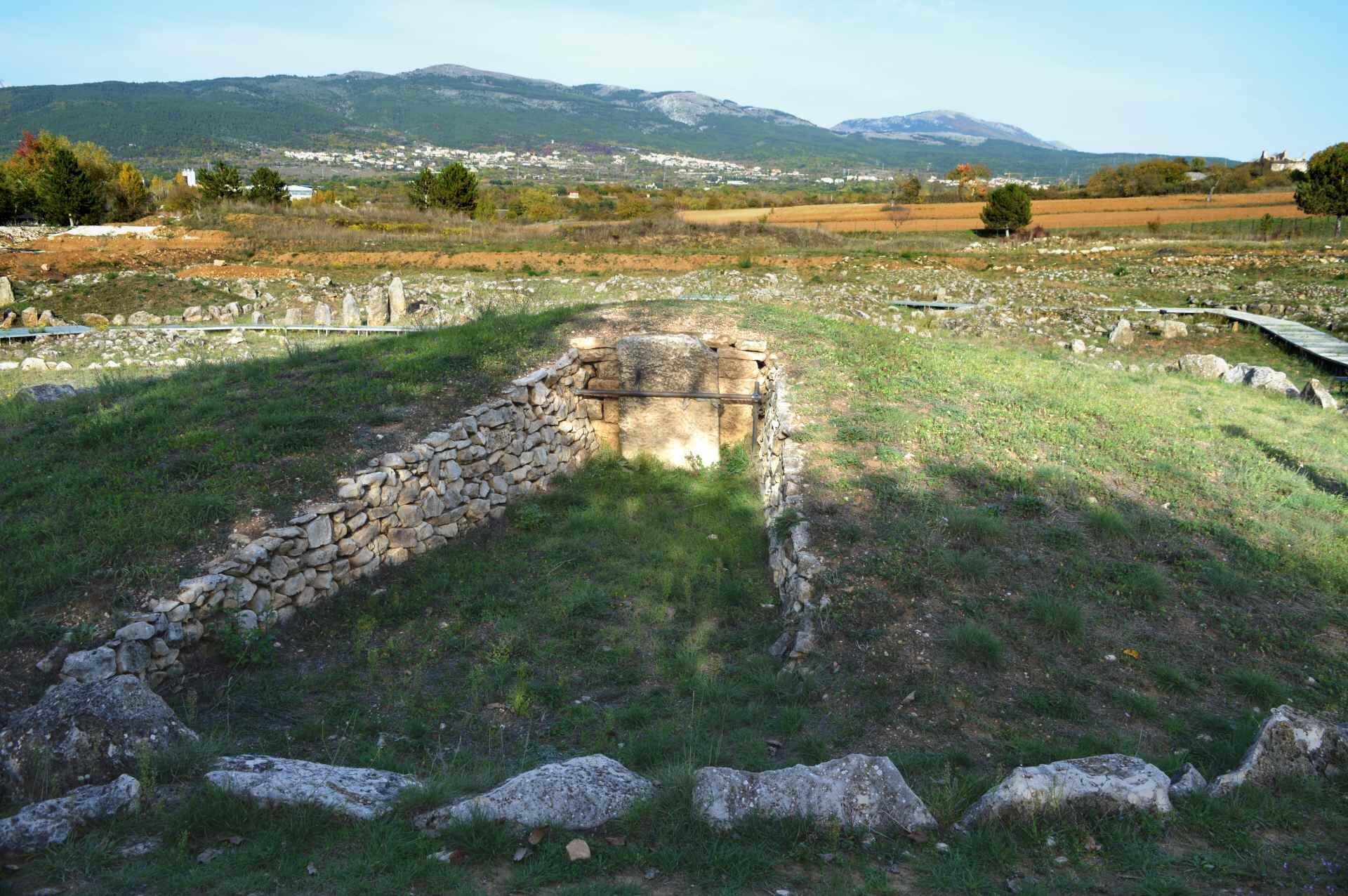 Dsc 0080