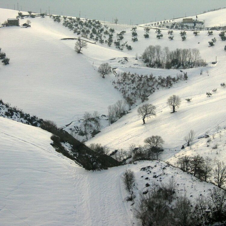 Il miracolo della Madonna della Neve a Brittoli