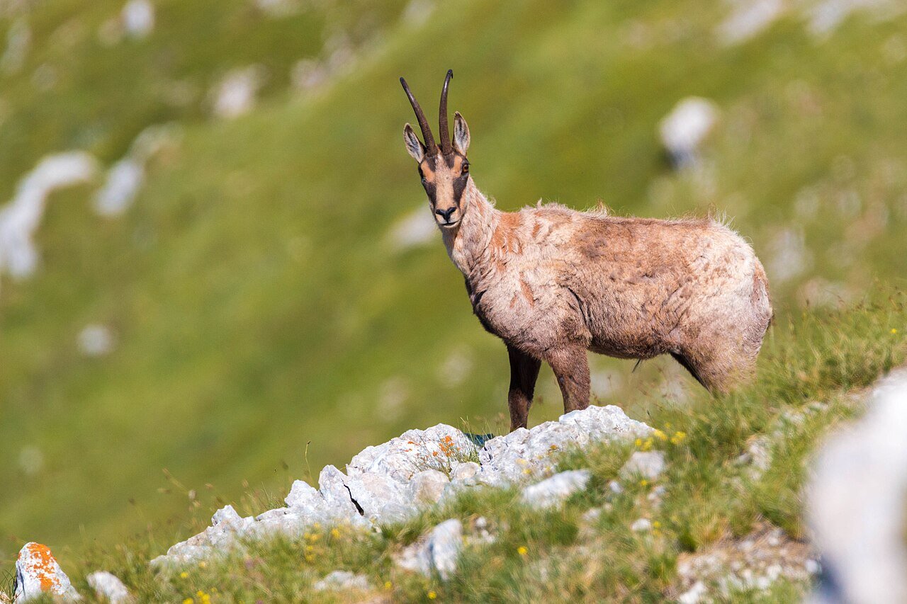 Parco Nazionale della Maiella